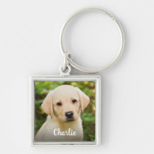 Chaveiro Foto de animal personalizado Nome Simples Amante d
