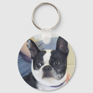 Chaveiro Foto de Boston Terrier
