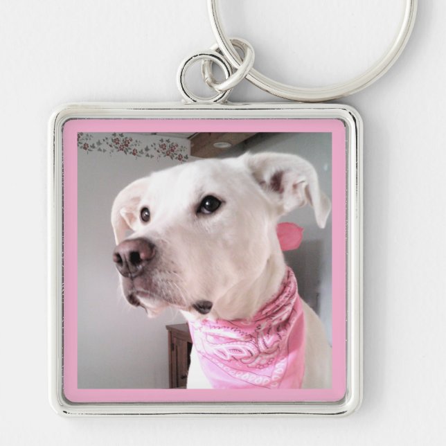 Chaveiro Foto de Cachorro Branco-Bonito Vestindo Scarf Rosa (Frente)