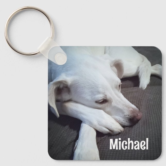 Chaveiro Foto de Cachorro com Nome Personalizado de Pinças  (Frente)