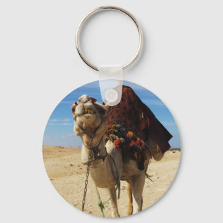 Chaveiro Foto de Camel no Egito