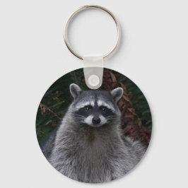 Chaveiro Foto de Cute Forest Raccoon