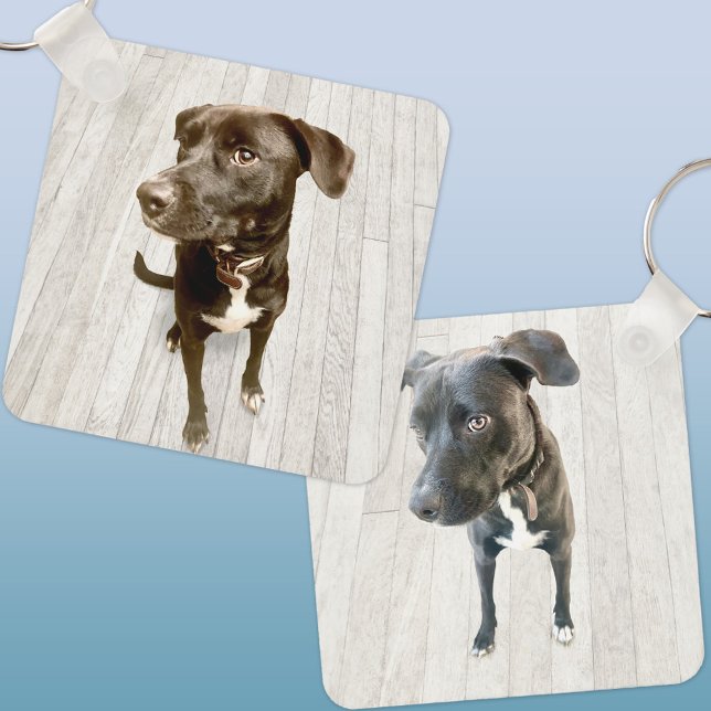 Chaveiro Foto de Dois Animais de Estimação (Two photo double sided dog or pet keyring keychain)