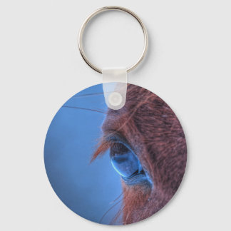 Chaveiro Foto de Equino Chestnut Horse
