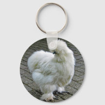 Foto de frango branco Silkie