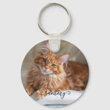 Foto de Gato com Nome Curly Fofo