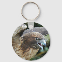 Chaveiro Foto de Hawk de cauda vermelha