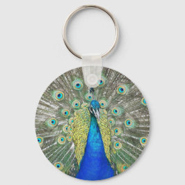 Chaveiro Foto de Plumagem de Penas de Pavão Azul