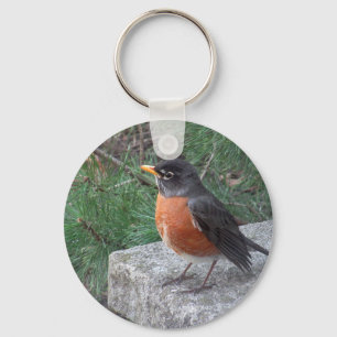 Chaveiro Foto de Robin em Jardim
