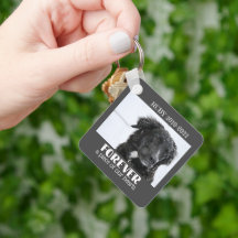 Foto de simpatia por Pet Memorial