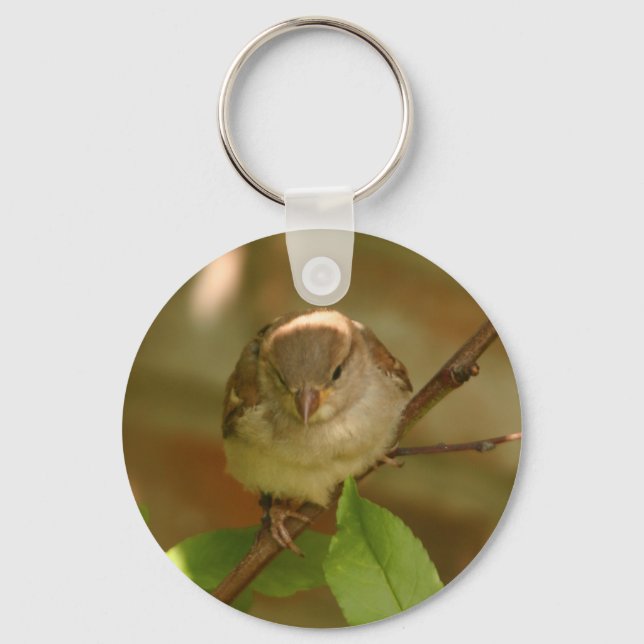 Chaveiro Foto do Sparrow (Frente)