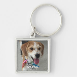 Chaveiro Foto/Nome Personalizado de Cachorro ou Gato