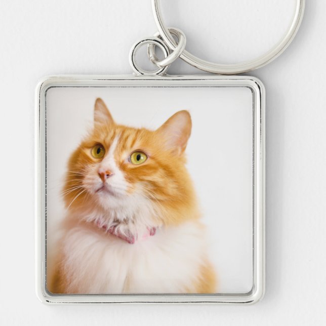 Chaveiro Foto Personalizada de Gato Ginger com Nome Persona (Frente)