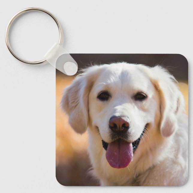 Chaveiro Foto personalizada Pet (Frente)