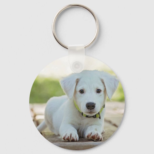 Chaveiro Foto personalizada Pet (Frente)