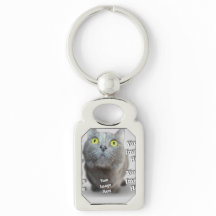 Foto PET ✨ adorável personalização