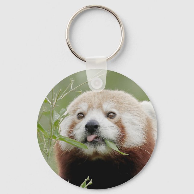 chaveiro Foto vermelha panda, animais 0325. (Frente)