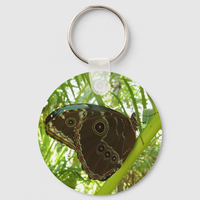 Chaveiro Fotografia da Borboleta Azul Morpho na Natureza (Frente)
