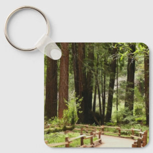 Chaveiro Fotografia da Natureza da Trilha I de Muir Woods