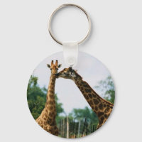 Fotografia de Girafa