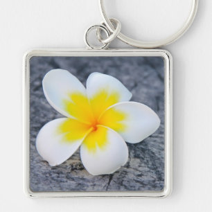 Chaveiro Fotografia Floral de Frangipani Tropical