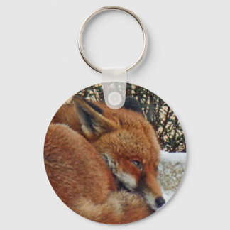Chaveiro Fox day dreaming