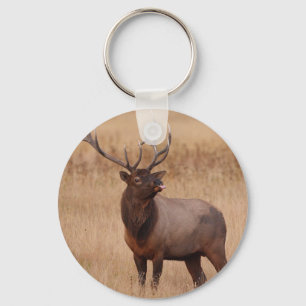 Chaveiro framboesa dos alces