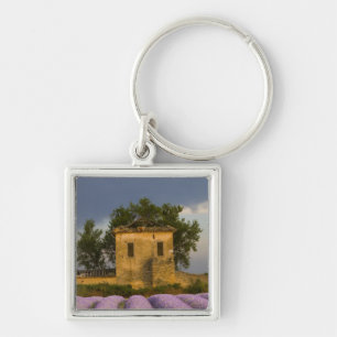 Chaveiro França, Provença. Campo de lavanda e