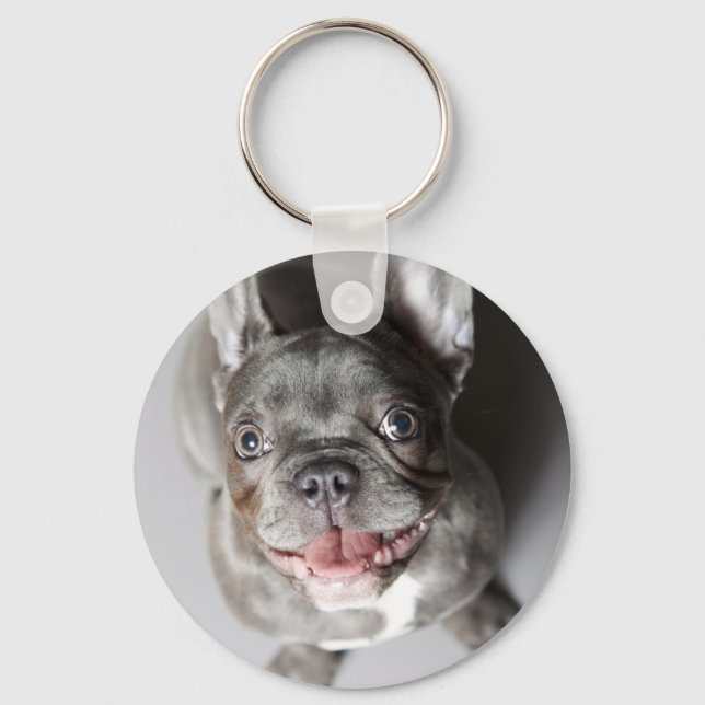 Chaveiro Französische Bulldogge (Frente)