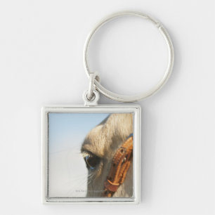 Chaveiro Freio do cavalo