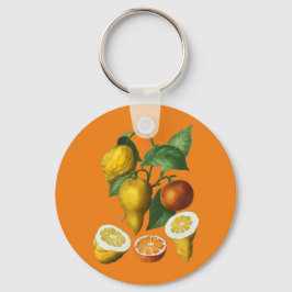 CHAVEIRO FRUTA CITRUS