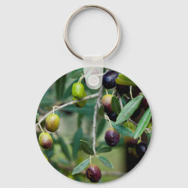 Chaveiro Fruta de oliveira cultivada na árvore