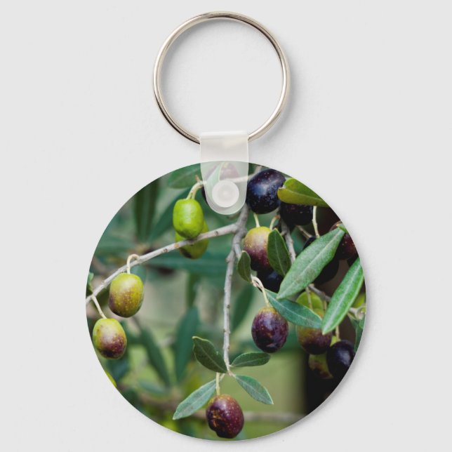 Chaveiro Fruta de oliveira cultivada na árvore (Frente)