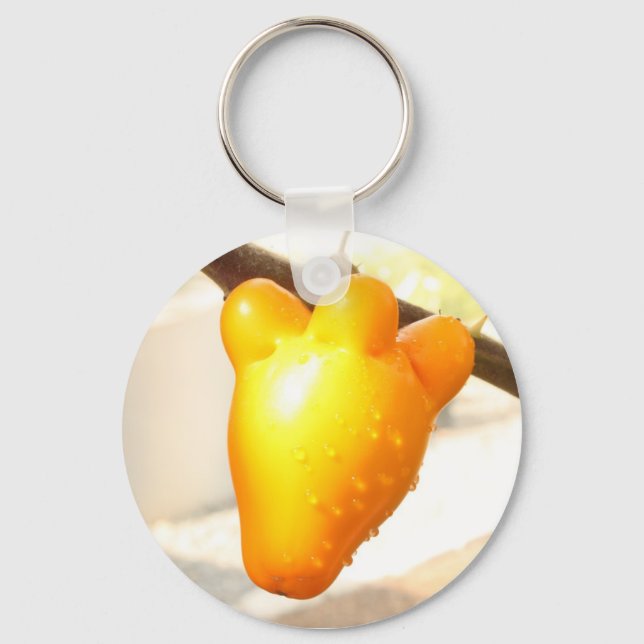 Chaveiro Fruta de rosto da raposa (Frente)