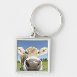 Chaveiro Fuessen, Baviera, Alemanha