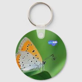 Chaveiro Fundo verde e borboleta amarela e branca e aranha
