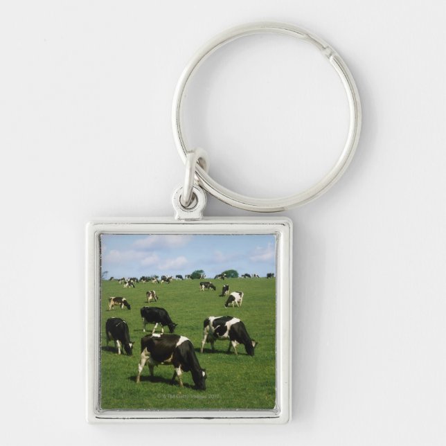 Chaveiro Gado do Holstein-Frisão, Ireland (Frente)