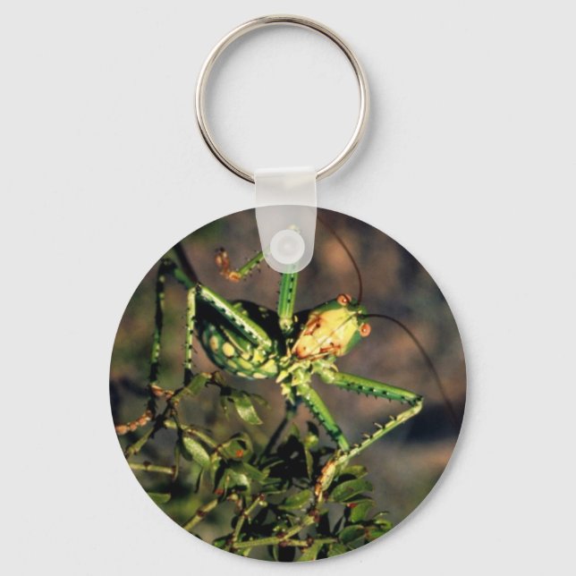 Chaveiro Gafanhoto (Frente)