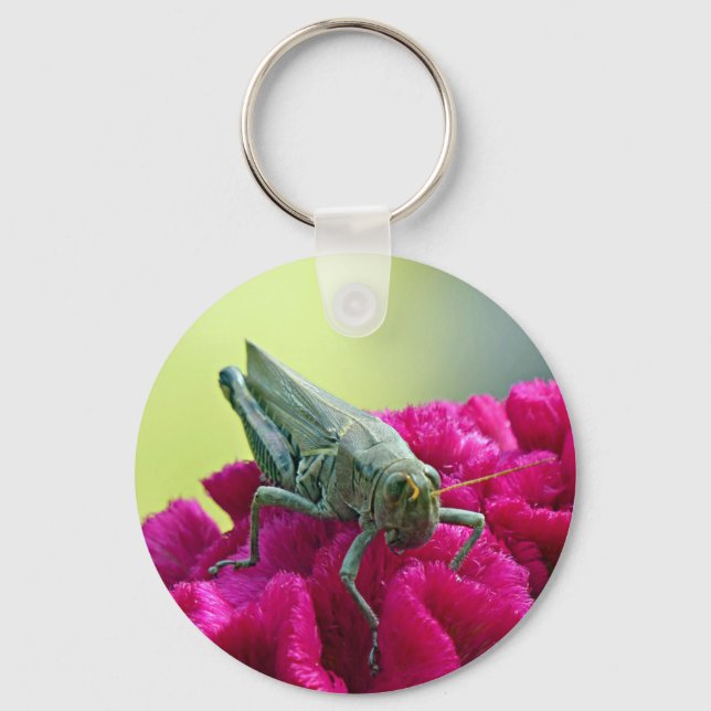 Chaveiro Gafanhoto em Cockscomb (Frente)