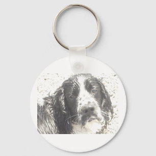 Chaveiro gafanhoto inglês springer spaniel odart.png