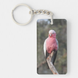 Chaveiro Galah