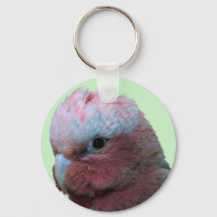 Chaveiro Galah Wildlife Key Chain