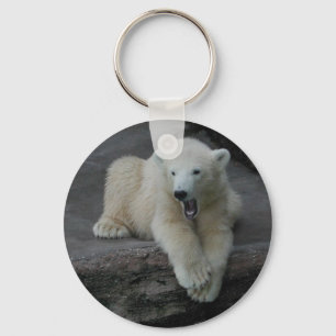 Chaveiro Galinha-do-urso-polar