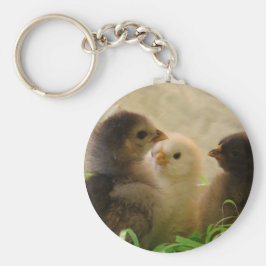 Chaveiro Galinhas páscoas