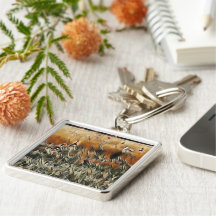 Gansos e Pato Vagam Arte