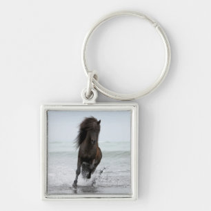 Chaveiro Garanhão que funciona no Atlântico Norte da prai