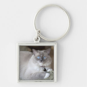 Chaveiro Gata Ragdoll fêmea