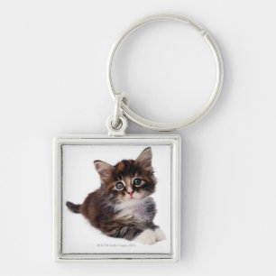 Chaveiro Gatinho