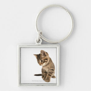 Chaveiro Gatinho 2