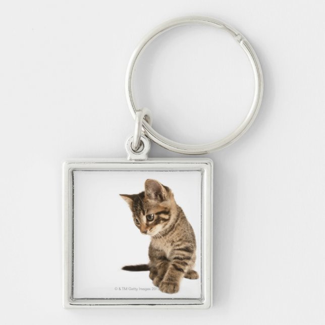 Chaveiro Gatinho 2 (Frente)